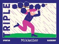 Пиво SpontanTripleBlueberry