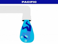 Пиво Water Series Pacific Пиво Water Series Pacific