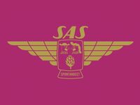 Пиво Wing Pin Series 2 - SAS Spontanbeet