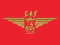 Пиво Wing Pin Series 4 - SAS Spontancherry