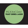 Пиво Yeast Series Lager