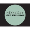 Пиво Yeast Series US Ale