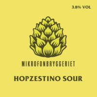 Пиво Hopzestino Sour