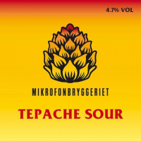 Пиво Tepache Sour