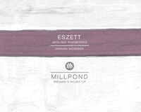 Пиво Eszett (Raspberry) Пиво Eszett (Raspberry)