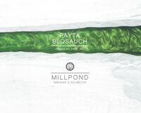 Пиво Payta Blosauch Пиво Payta Blosauch