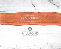 Пиво Pearl Snap (Goldenberry) Пиво Pearl Snap (Goldenberry)