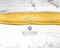 Пиво Pearl Snap (Pineapple) Пиво Pearl Snap (Pineapple)