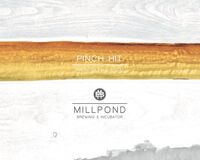 Пиво Pinch Hit Пиво Pinch Hit