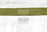 Пиво Beauty In The Weeds Пиво Beauty In The Weeds