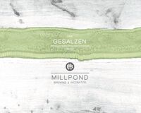 Пиво Gesalzen (Lime) Пиво Gesalzen (Lime)