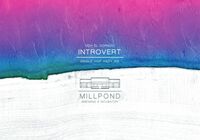 Пиво Introvert (El Dorado)