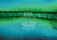 Пиво Whale Sounds Пиво Whale Sounds