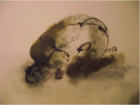 Пиво Running Beer - Blend Five