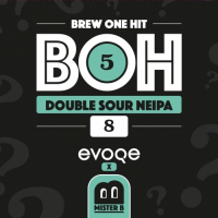 Пиво BOH 5 Double Sour NEIPA Пиво BOH 5 Double Sour NEIPA