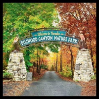 Пиво Welcome To Paradise Пиво Welcome To Paradise