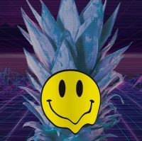 Пиво Acid Pineapples Fields