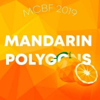 Пиво Mandarin Polygons