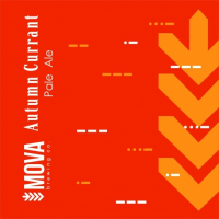 Пиво Autumn Currant Pale Ale