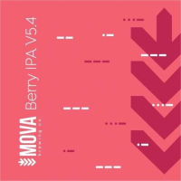Пиво Berry IPA V5.4