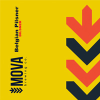 Пиво Bilsner (Belgian Pilsner)