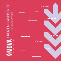 Пиво Frozen Raspberry Berliner Weisse