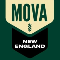 Пиво NEW ENGLAND