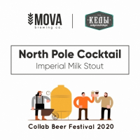 Пиво North Pole Cocktail