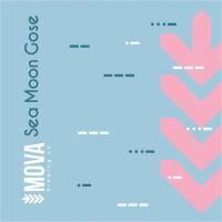 Пиво Sea Moon Gose