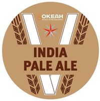 Пиво 5-й океан IPA