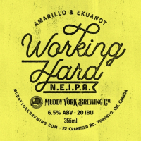 Пиво Working Hard NEIPA W/ Amarillo & Ekuanot