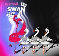 Пиво Swan Lake