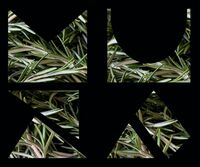 Пиво ROSEMARY TOMATO GOSE Пиво ROSEMARY TOMATO GOSE