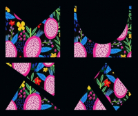 Пиво TFS: DRAGON FRUIT, WATERMELON