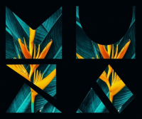 Пиво TFS: KIWI, BANANA, MELON