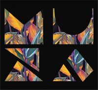 Пиво TFS: Pomelo, Passionfruit, Guava Пиво TFS: Pomelo, Passionfruit, Guava