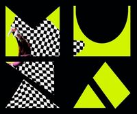 Пиво WILD WILD PARTY SOUR