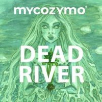 Пиво Dead River:Celery&Chili