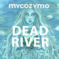 Пиво Dead River:Classic