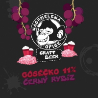 Пиво Goséčko Černý Rybíz 11% Пиво Goséčko Černý Rybíz 11%