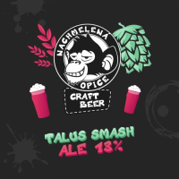 Пиво Talus SMASH Ale 13%