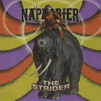 Пиво The Strider