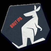 Пиво Brut IPA Пиво Brut IPA