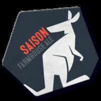Пиво Saison Пиво Saison