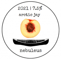 Пиво arctic jay (2021)