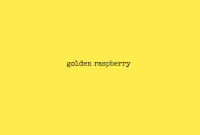 Пиво golden raspberry (2022)