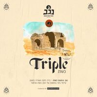 Пиво Triple Hop (טריפל כשות)