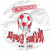 Пиво Liquid Football