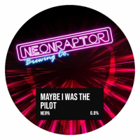 Пиво Maybe I Was the Pilot