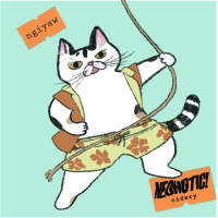 Пиво Calamansi Cider